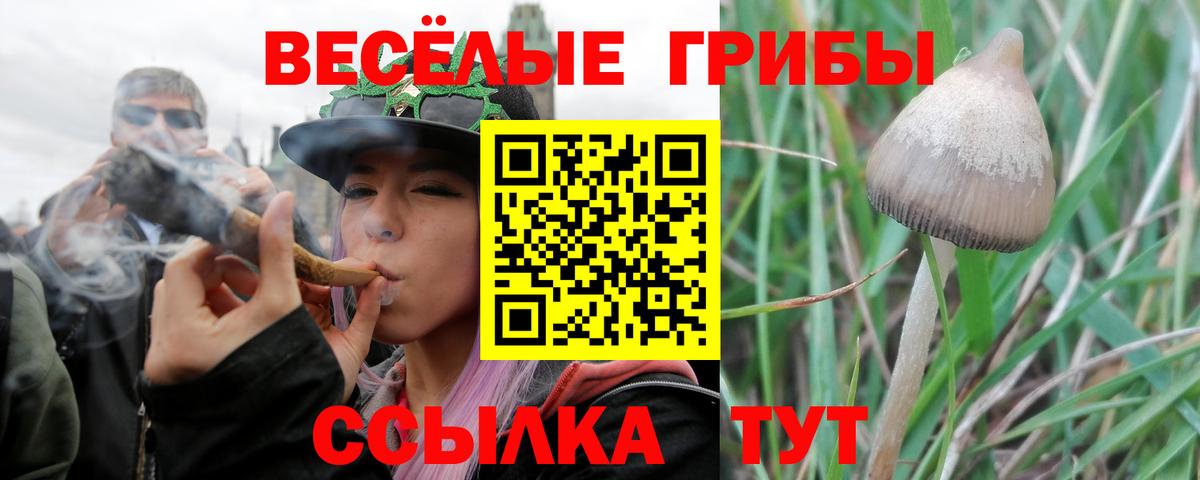Люберцы  Галлюциногенные грибы прущие грибы  Вход с VPN 